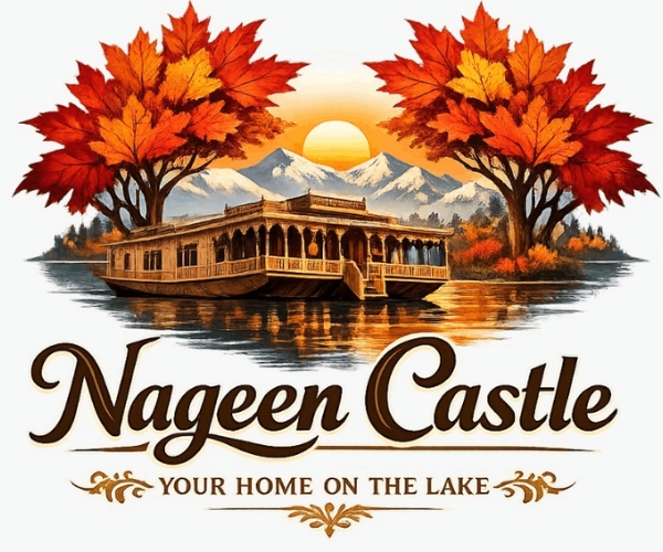 Houseboat offers Srinagar