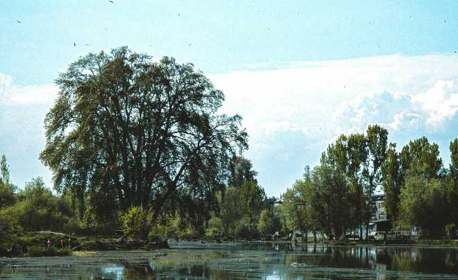 Kashmir travel guide blog category